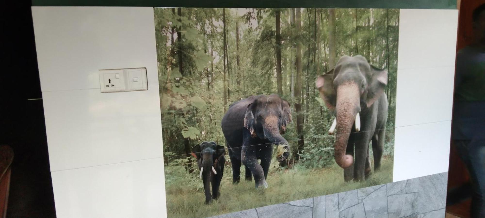 Kanneliya Eco Garden Hotel Koralegama المظهر الخارجي الصورة